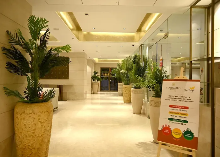 Marigold-Newly Renovated Hotel